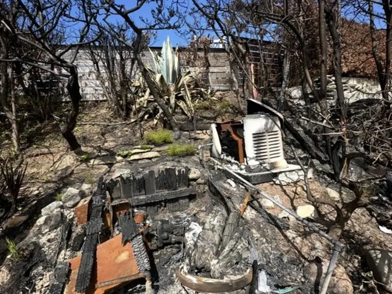 Burnt remains of a garden area with charred wood, a damaged appliance, and scorched plants.