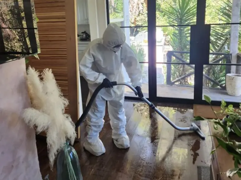 Person in full protective suit vacuuming a wooden floor near large windows.