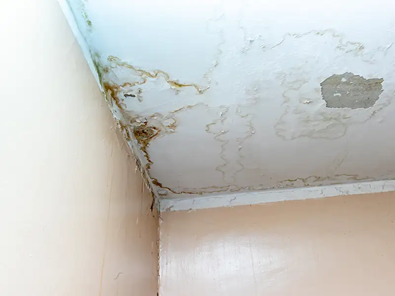 Water damage and mold stains on a ceiling corner with peeling paint.